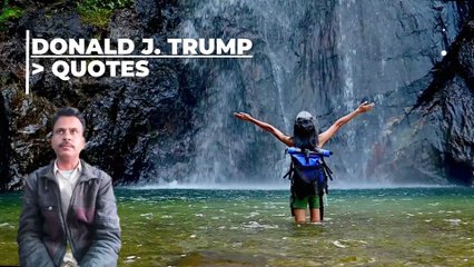 The Golden Words of Donald Trump: Quotes to Remember