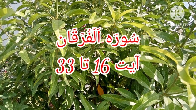 Surah Al Furqan || quran recitation || beautiful voice || bubak learn quran ||