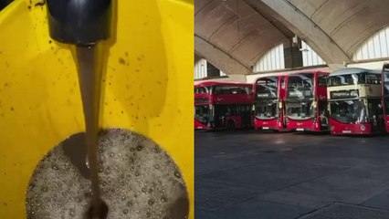 Reinigungskräfte zeigen, wie schmutzig die Sitze in roten Bussen in London sind