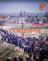 Amnesty- -Gaza Faces Genocide-