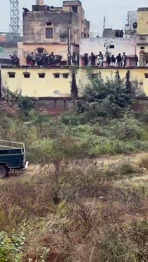 alwar news leopard video