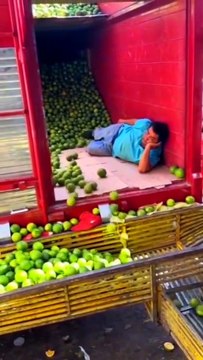 #art #2d #anime #insight #thoughts #drawings #draw #colors #colorit #sn2sg #animation #mtnezzform #mindset #sunnight #sunnightmusic #travel #imagine #sunnightpop #sunnightblues #sunnightjazz #blue #white #black #jpop #kpop #worldmusic #electronicmusic #fu