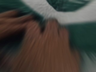 Le maintien pour Saint-Etienne ?