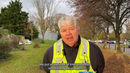 2024 Success: How the Joint Operations Dog Support Unit Makes a Difference 🐾