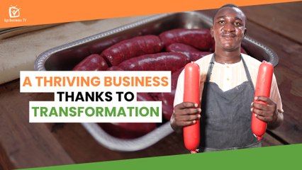 Burkina Faso: A thriving business thanks to transformation