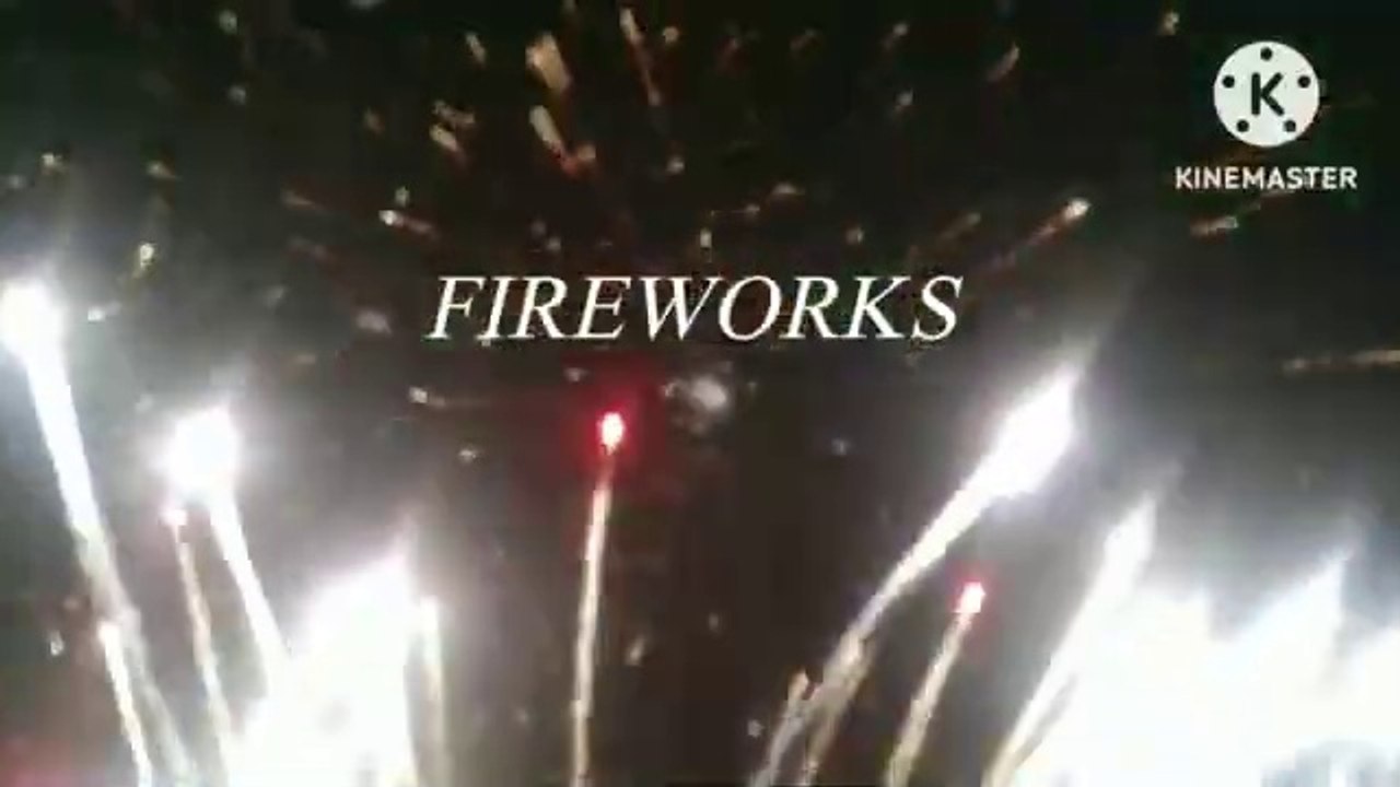 birthday celebration cake cutting dream world/fireworks/fire dance/pet show