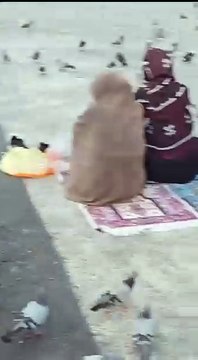 روضہ رَسُول اللہ ﷺ مسجدنبوي الشريفﷺ سے لائیو اَلصَّلٰوۃُ وَالسَّلَامُ عَلَیْکَ يَاسَيِّدِۡ الْاَنْبِیَاءِ وٙالْمُرْسَلِیْنْ ﷺ اَلصَّلَوۃُ وَالسَّلاَمُ عَلَیکَ یَا سَیِّدِی یَا خَتَمَ النَّبِیِّنﷺ اللهم صلّ على محمد وعلى آل محمد ، كما صليت على إبراهيم و