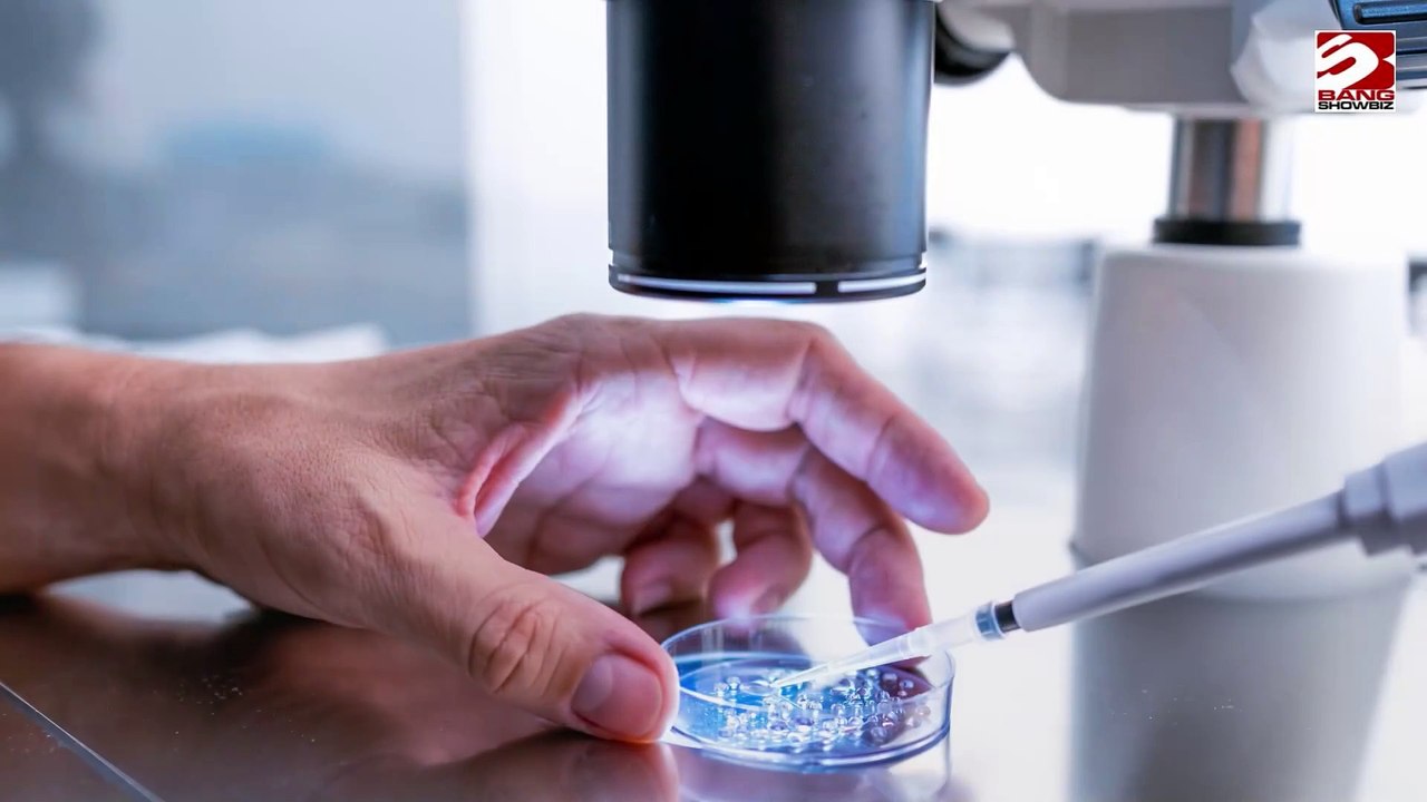 Ein neuer Roboter könnte Unfruchtbarkeit behandeln