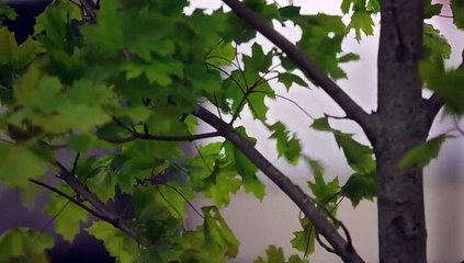 People Magazine Investigates S08E12 Inferno of Lies