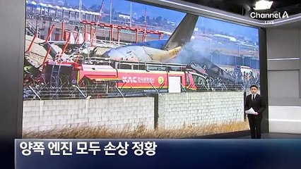 왼쪽 엔진서도 연기…양쪽 모두 손상 정황