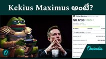 Why Kekius Maximus Is Trending? మస్క్ పేరు మార్పు వెనుక కారణం? | Elon Musk | Oneindia Telugu