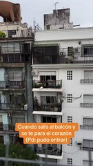 Pánico total en las redes por el desesperante video del perro que quedó en la cornisa del balcón. Miralo. 