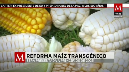 Moreal confirma que Morena alista reforma constitucional para prohibir maíz transgénico