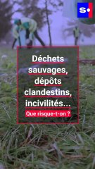 Déchets sauvages, dépôts clandestins, incivilités... : que risque-t-on ?
