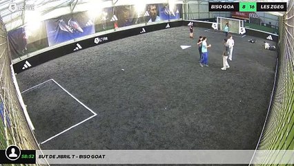 But de Jibril T - biso goat