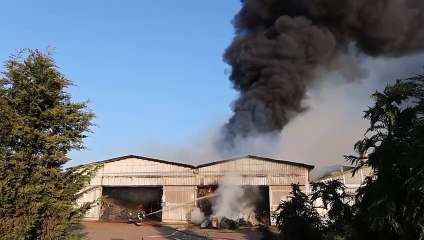 Il video dell'incendio alla cooperativa Sopred di Ravenna