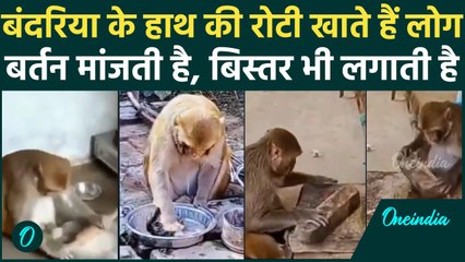 Raibareli में Rani Bandariya ने संभाली गृहस्थी, रोटी बेलने से बर्तन धोने का Video | वनइंडिया हिंदी