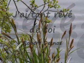 j'ai tant rêvé de toi