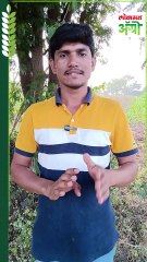 शासनाला पैसे परत करा; शेतकऱ्यांना नोटीसा