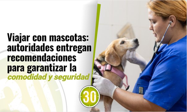Viajar con mascotas: autoridades entregan recomendaciones para garantizar la comodidad y seguridad