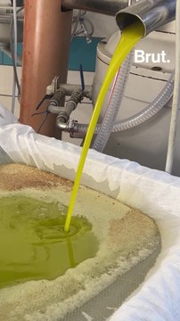 On a suivi la fabrication de l'une des meilleures huiles d'olive du monde