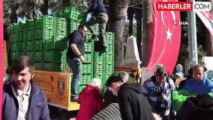 Bodrum’da 10 Ton Mandalina Dağıtımı Gerçekleşti
