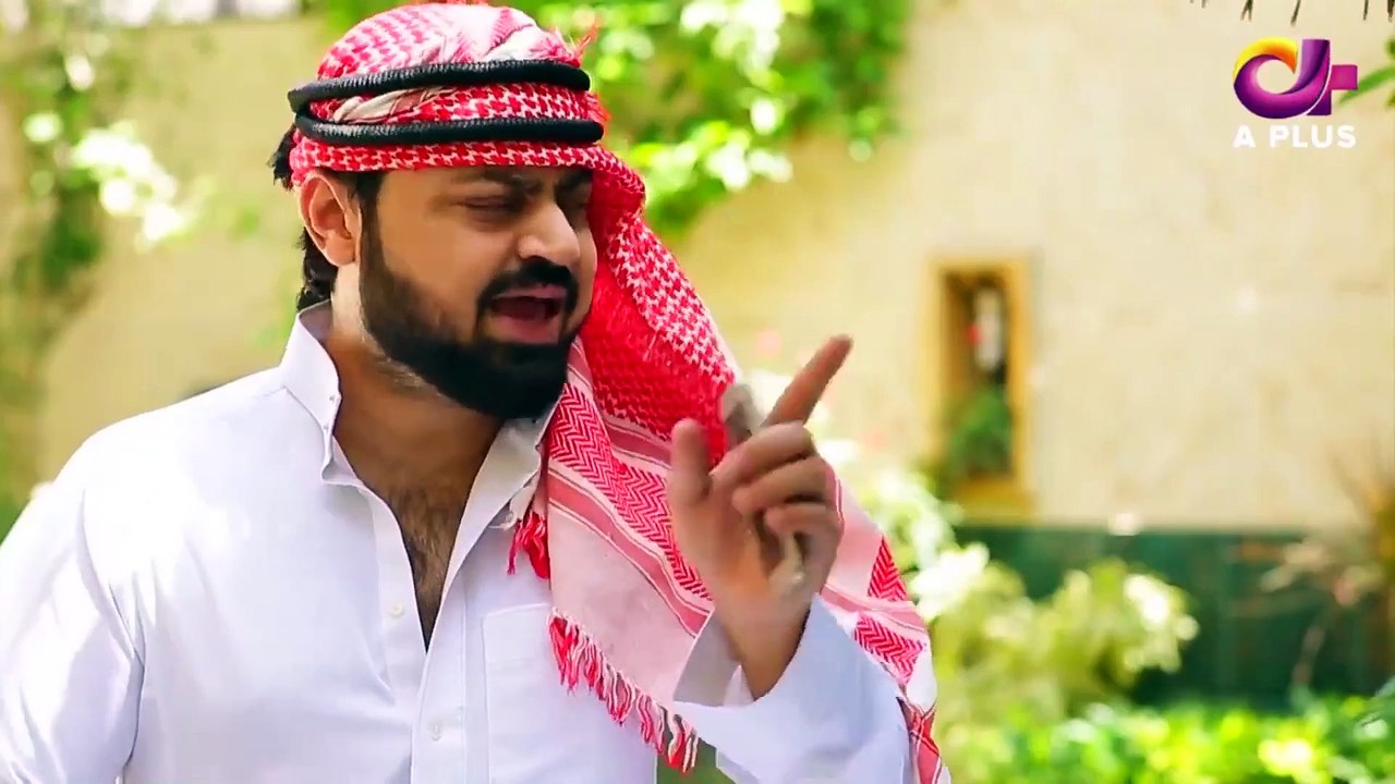 Haseena Moin Ki Kahani EP 38 - Aplus Entertainment