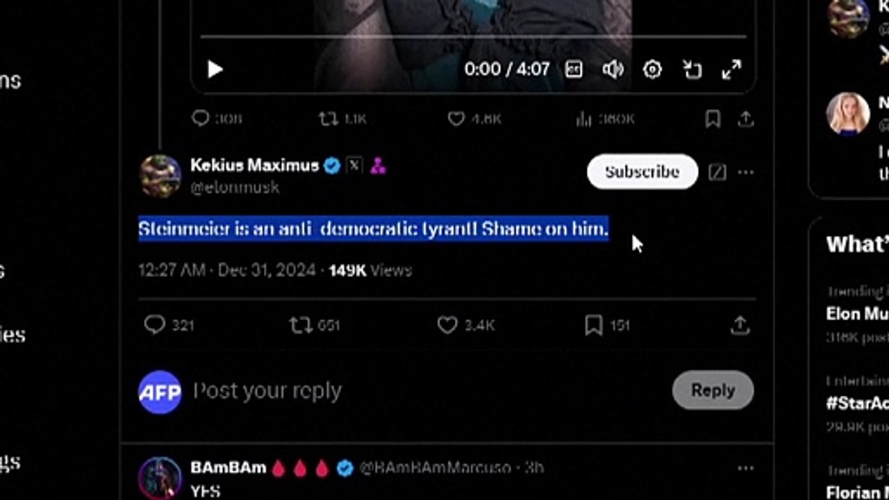 'Antidemokratischer Tyrann': Musk beleidigt Steinmeier