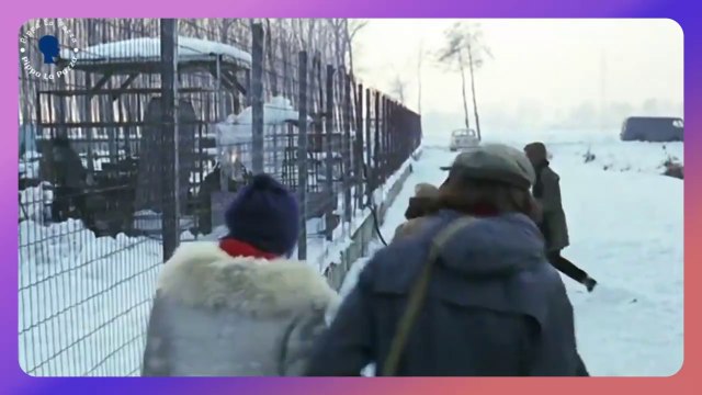 🎬 La Classe Operaia Va in Paradiso (1971) - Film Completo | Capolavoro di Elio Petri | Cult del Cinema Italiano