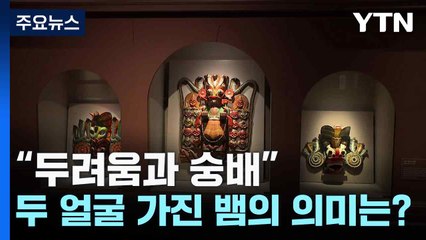 “두려움과 숭배”...을사년, 두 얼굴 가진 뱀의 의미는? / YTN