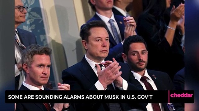 Some Are Sounding Alarms About Musk in U.S. Gov’t
