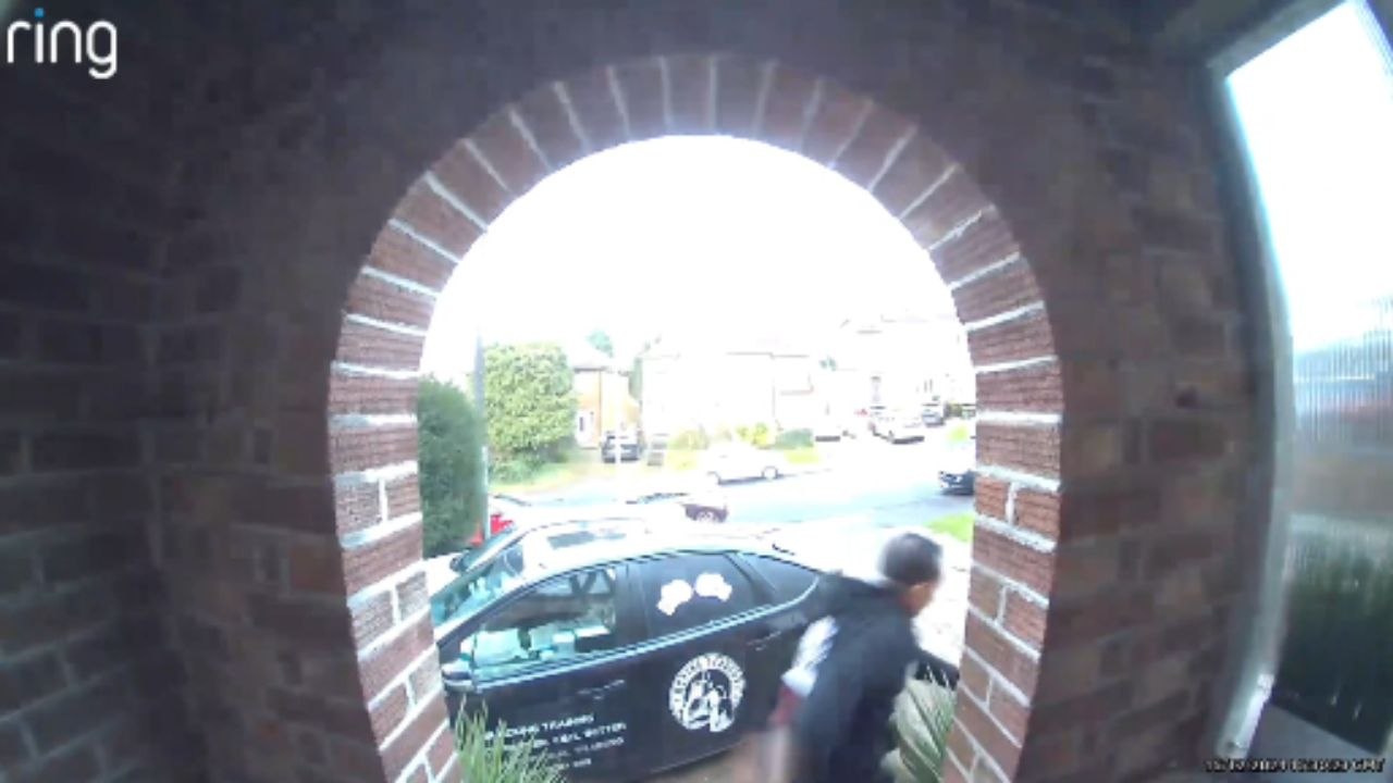 Dad goes rolling after dogs pull him while heading out for a walk