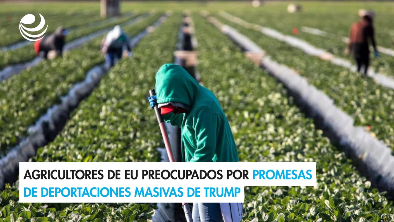 Agricultores de EU preocupados por promesas de deportaciones masivas de Trump
