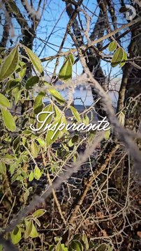 Belle année et heureuse année 2025 😊