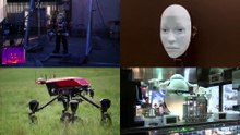 These robots made headlines in 2024
