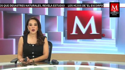 Fueron detenidas 5 personas tras operativo en Quintana Roo