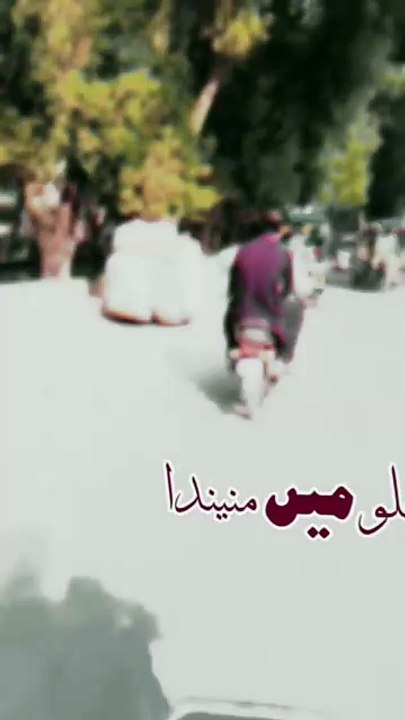 سفر
