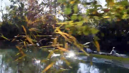 Canal du midi a carcassonne