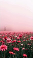 ✨ Pink Paradise ✨  #renewal #inspiration #meditation #motivation #nature #relaxation #shorts