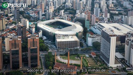 "Roubo de gramado, polêmicas olímpicas e homenagem aos grandes astros do esporte em 2024"