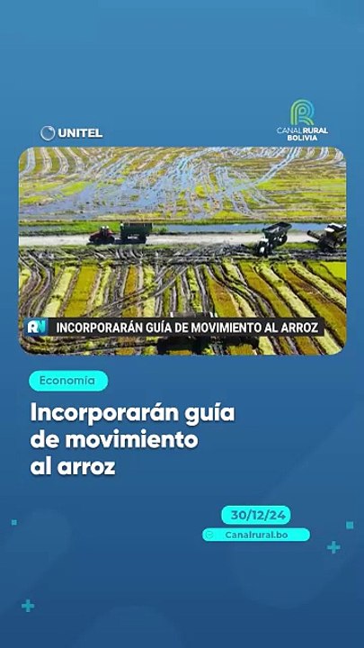 Incorporarán guía de movimiento al arroz