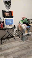 opening to miracle on 34st street