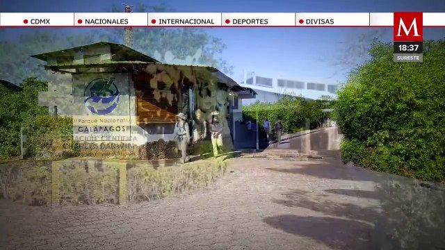 La mayor colección de historia natural se encuentra en las Islas Galápagos | Milenio Hábitat