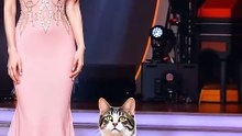 Chinese lady with cat viral video