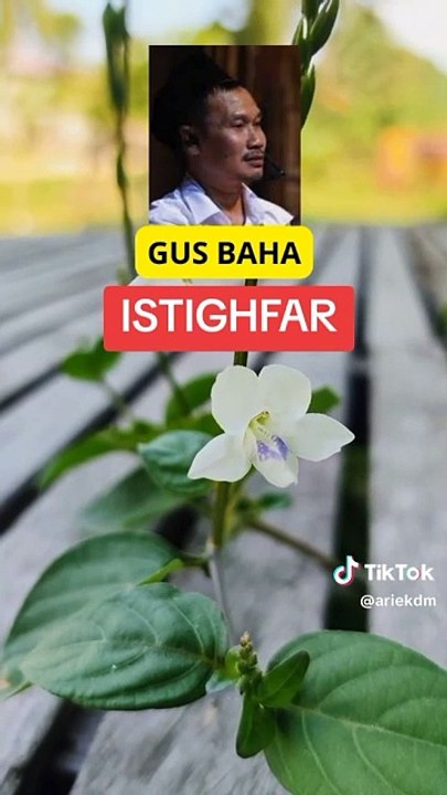 GUS BAHA : ISTIGHFAR