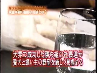 It's so cool!　Japan Comedy Shows　めちゃイケ