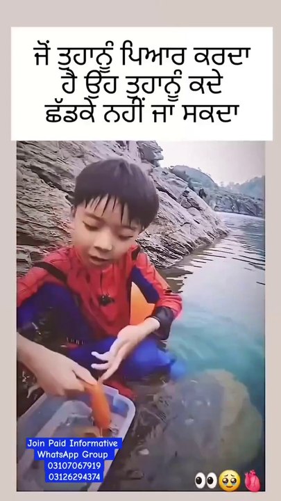 VID-20241231-WA0042