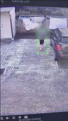 Woman taking a bra, undies, and t shirts from a Kembla Street clothesline on Monday, December 30. Video supplied