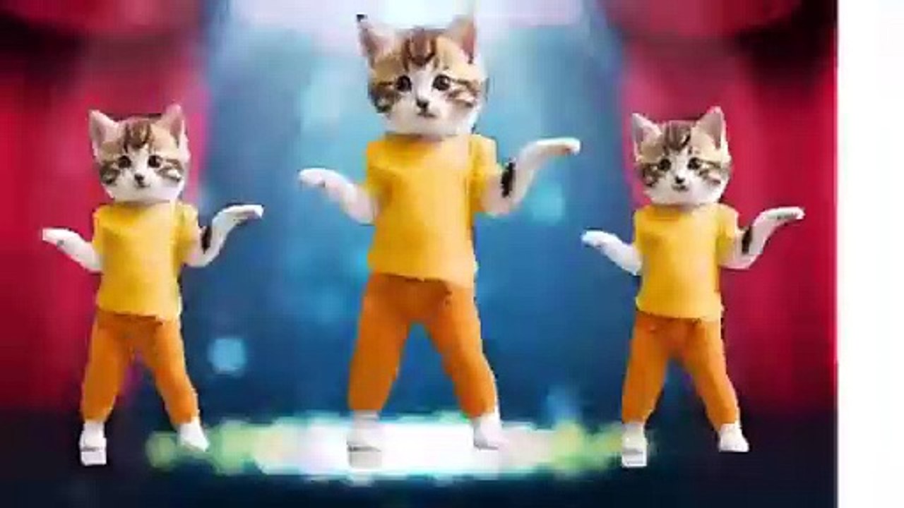 CAT DANCING VIDEOS