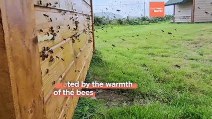How do bee beds work? Wellness experience brings a buzz to Ireland’s wild west coast